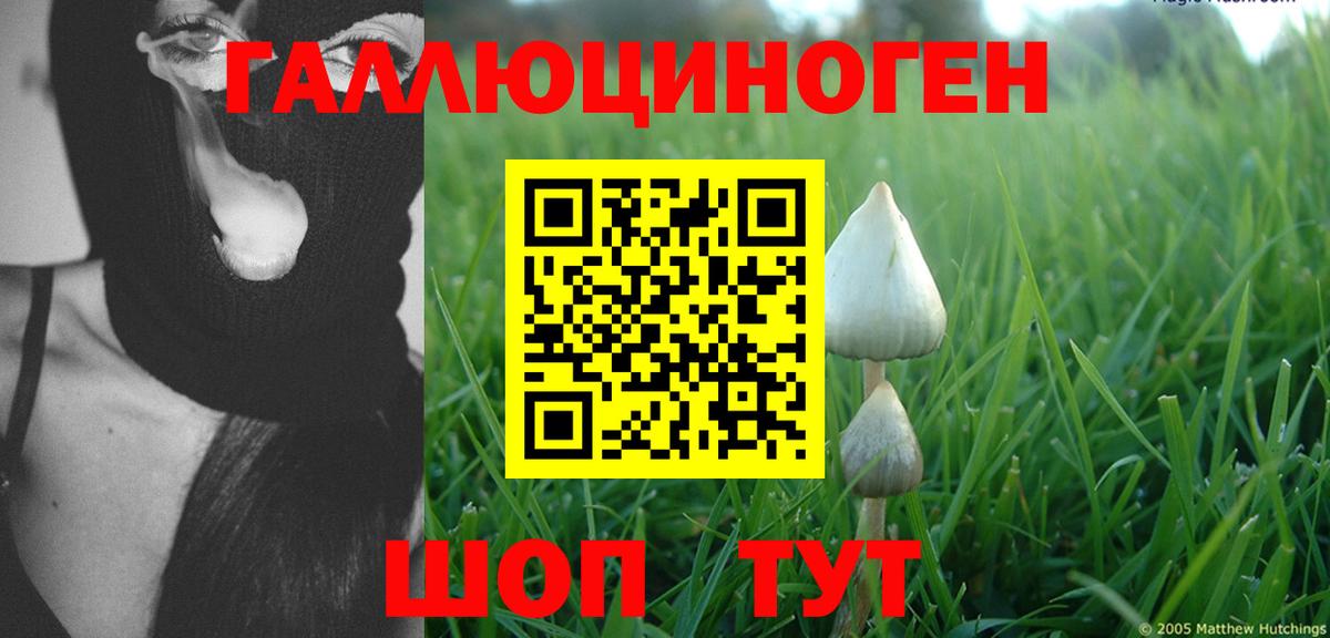 Шарыпово  Галлюциногенные грибы ЛСД  Псилоцибиновые грибы мухоморы  Вход с VPN 